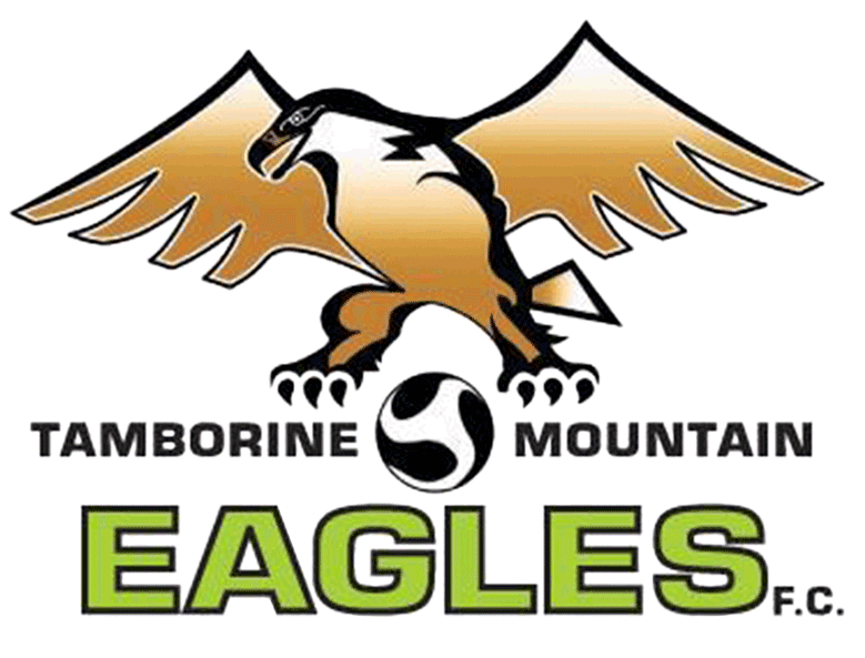 Tamborine Mountain Eagles Metro logo
