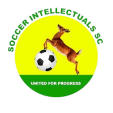 足球知识分子女足