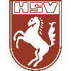 Hammer SpVg Youth