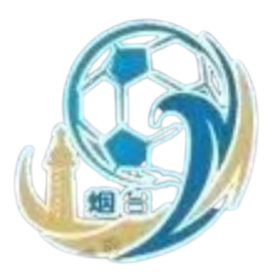 https://img.thesports.com/football/team/206edcb725700db0894604f7541145ff.png