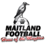 Logo Maitland FC Reserves