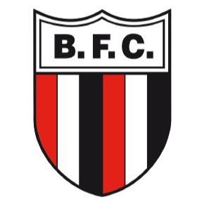 Botafogo-SP Youth logo