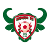 Logo Gomido FC