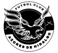Azores De Hidalgo logo