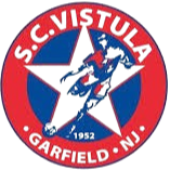 维斯图拉 - 图标