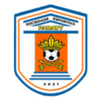 帕拉蒂U20 - 图标