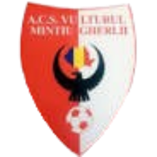 Vulturul Mintiu Gherlii