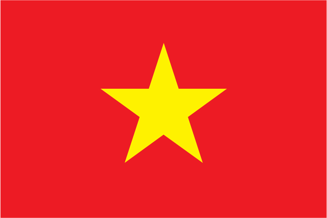 Logo Vietnam Futsal