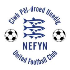 https://img.thesports.com/football/team/2ba0b7a8b180669a8fb667d86396594d.png