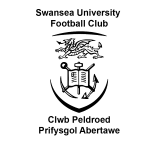 Swansea University