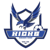 Yonsei Kicks logo