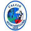 Logo Montebelluna