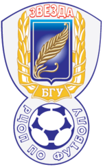 Dorstroysiti Moscow logo