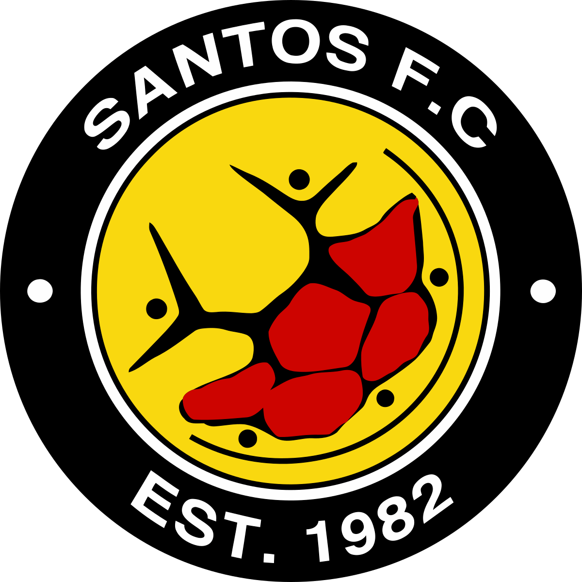 Santos Cape Town