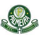 Palmeira RN logo