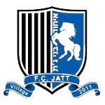 Hapoel Ihud Bnei Jatt U19 logo