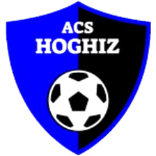 ACS Hoghiz logo