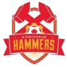 Birmingham Hammers logo