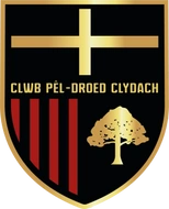 https://img.thesports.com/football/team/39286903e3de12062198cb60bbebaf6b.png