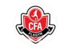 FlaGyn U20 logo