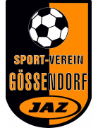 SV Gossendorf Youth