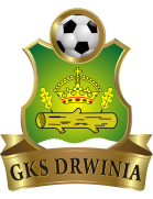 GKS Drwinia logo
