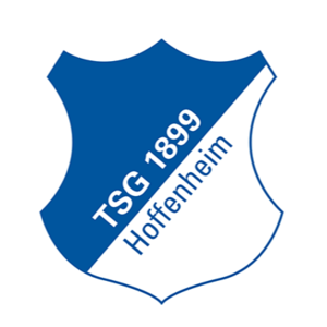 Hoffenheim U17 logo