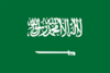 Saudi Arabia U15 Logo
