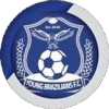 Logo Young Brazilians FC