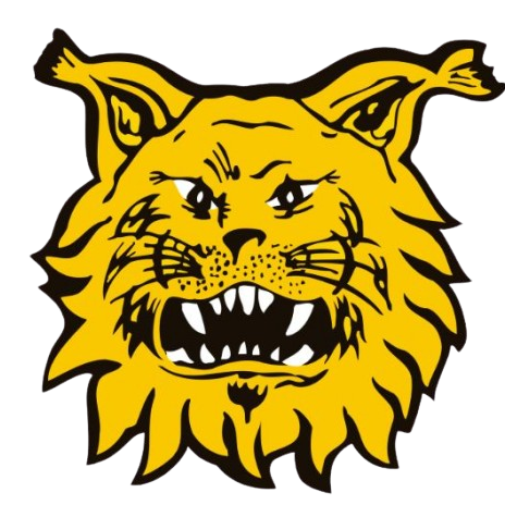 FC Ilves U21 logo