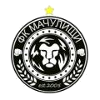 FC Machulishchi logo