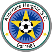 Avondale FC U20 logo
