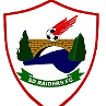 Logo SD Raiders FC