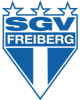 SGV Freiberg U17 logo