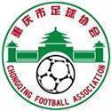 Chongqing Youth(2012-2013) logo