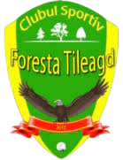 CS Foresta Tileagd logo