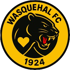 ES Wasquehal U17 logo