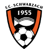 https://img.thesports.com/football/team/488370880779534e48b5b2d5243fb6f6.png