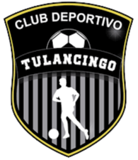 Deportivo Tulancingo logo