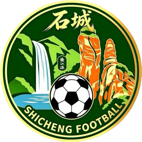 Shicheng Team