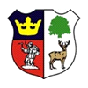 Logo Cinderford Town