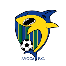 Avoca logo