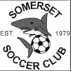Somerset Reserves