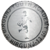 Birgunj Youth Academy logo