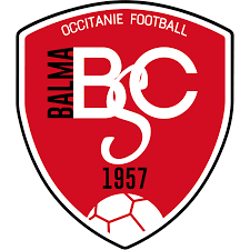 https://img.thesports.com/football/team/533f2b492c8ac4cc2816214249bfffed.png