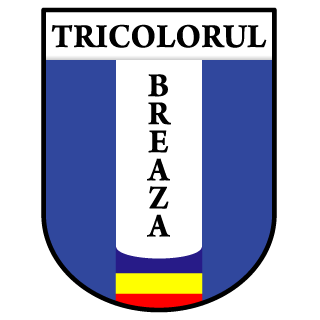 Tricolorul Breaza