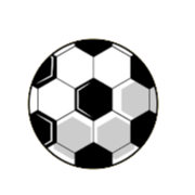 TJ SH Jiretin/Litvinov logo