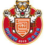 Guangdong Southern Tigers(2012-2020)