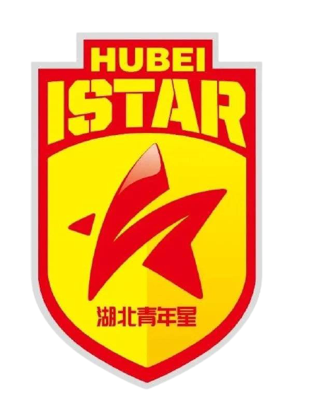 湖北青年星U13
