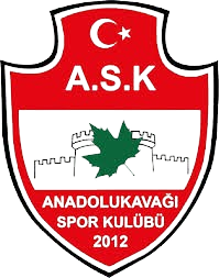 Anadolu Kavagi Spor logo